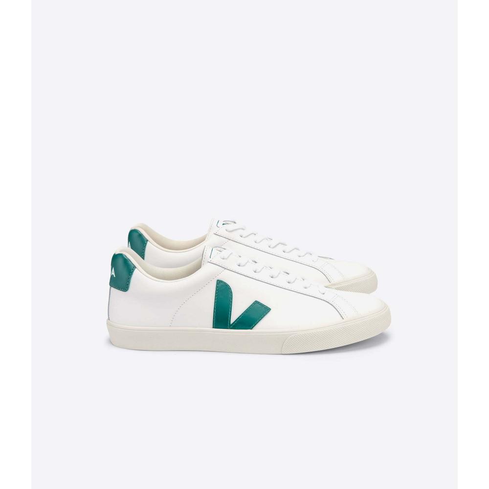 Men\'s Veja ESPLAR LEATHER Sneakers White/Green | ZA 305ZUT